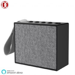 D19 Alexa speaker